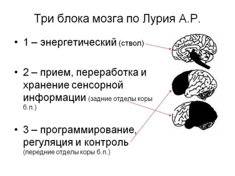 Исторический экскурс