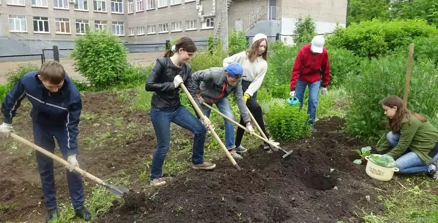 Понятие трудового воспитания